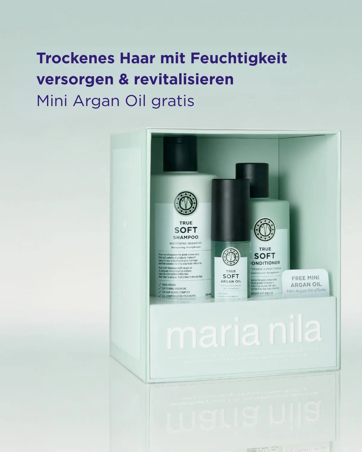 True Soft Holiday Box 2026